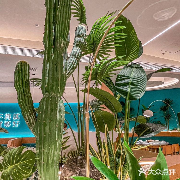 10年广州椰子鸡🥥老品牌终于来上海啦❗️
