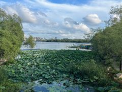 -长春市南湖公园