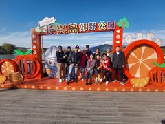 -上海长兴岛郊野公园