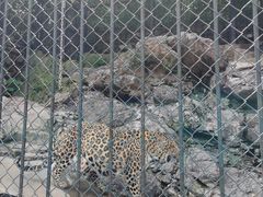 -大连森林动物园