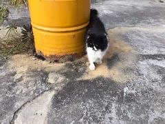 -糖果时光文创产业园