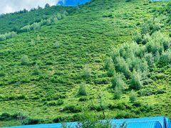 -草原天路(张北县)