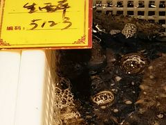 -驻海渔市(置信店)