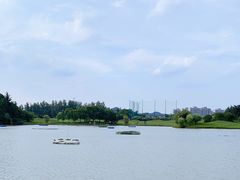 -银涛高尔夫练习场(徐泾店)