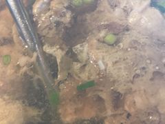 -临家闽南菜(翔安店)