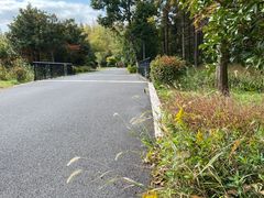 -东平国家森林公园