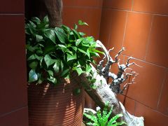 -临家闽南菜(大唐店)