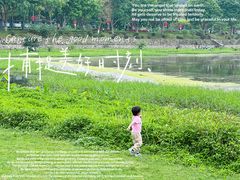 -风云岭森林公园