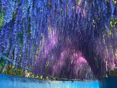 -芜湖方特水上乐园