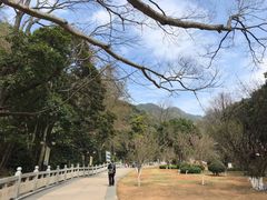 -灵光寺