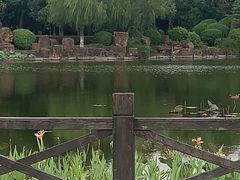 -上海鲜花港