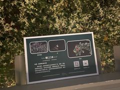 -福道