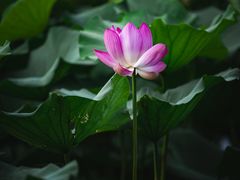 -云龙湖旅游景区