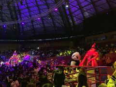 -俄罗斯国家大马戏团