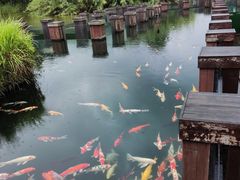 -宁波杭州湾国家湿地公园