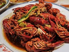 -杨氏青龙虾·羊蝎子(珠江路店)