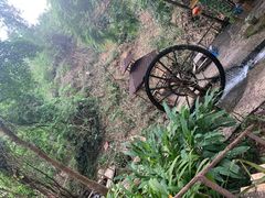 -莫里热带雨林景区