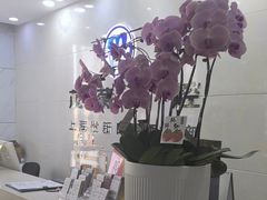 -茂菊口腔连锁(浦东南路店)