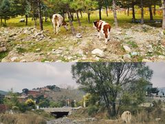 -五台山风景名胜区