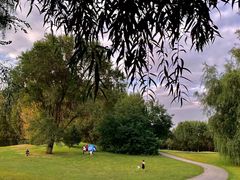 -长白岛森林公园