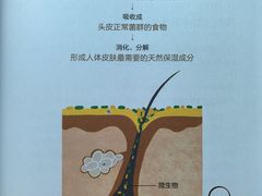 -广州绿地中央广场