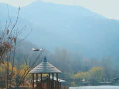 -伏羲山旅游区