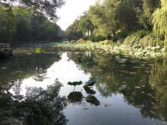 -颐和园