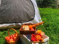 -上海共青森林公园