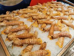 -北京兴基铂尔曼饭店