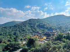 -树山生态村