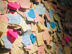 -一杯黔茶(西江千户苗寨古街店)