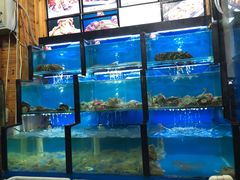 水产区-老东镇啤酒屋海鲜加工·蒸汽海鲜·海鲜烧烤(台东店)