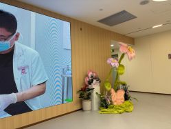 -上海伊莱美医疗美容医院