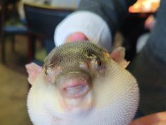 -永安鱼庄·镇江菜(东吴路店)