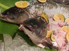 -味餐厅·海鲜·火锅·自助餐