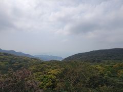 -天坛大佛