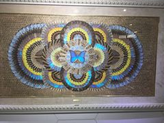 -上海昆虫博物馆