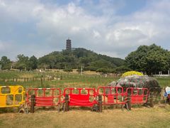 -红花山公园