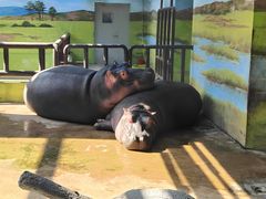 -大连森林动物园