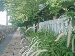 -喜洲吧·江畔老船厂·庭院餐厅(喜临院店)