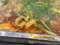 -古彭7只羊·招牌白串·碳锅羊肉旗舰店