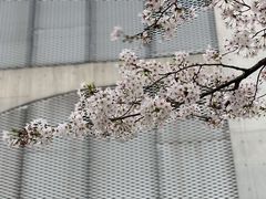 -龙美术馆(西岸馆)