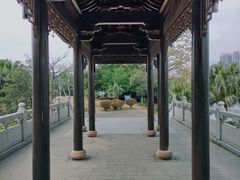 -飞来湖湿地公园