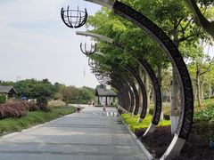 -映月湖公园