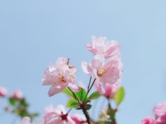 -东钱湖小普陀景区