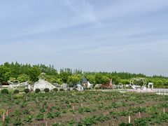 -嘉北郊野公园