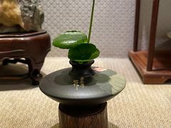 -双季花艺园艺市场(浦东店)