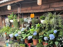 -龙姐私房菜(和顺古镇店)