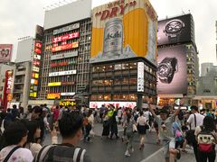 -蟹道乐(道顿堀本店)