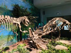 -自贡恐龙博物馆